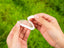 Bee Venom Micro-Filler Patches