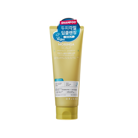 Moringa Scalp Perfect Shampoo